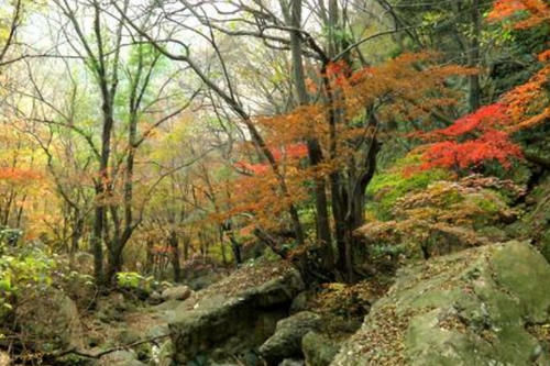 中年|湖北有处山脉景区，地跨随州、京山、钟祥三市，被誉“楚北天空”