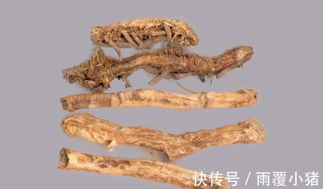 效用|一种味苦而甘的中药，清热泻火、滋阴润燥，效用非常，你知道多少