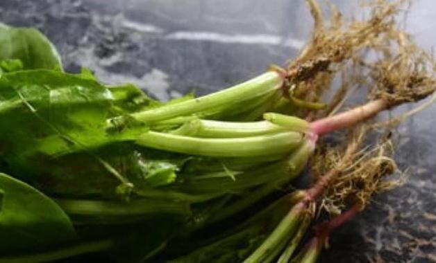 食物|若想远离糖尿病,4种常见食物餐桌上敞开吃,或助你慢慢稳定血糖