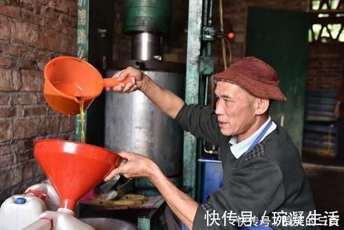 炸油|城里人喜欢到农村，去购买油菜籽自己炸油吃，还说自榨油不安全？