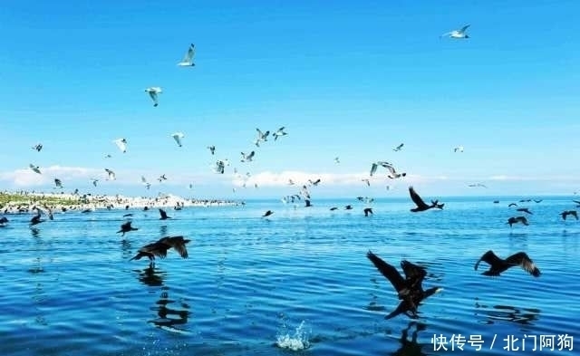 中国最大|中国面积最大的湖泊，相当于18个洱海，如今还在不停的变大！