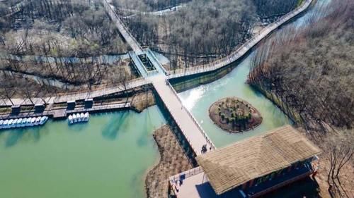 闭园改造2年半后，崇明西沙湿地将于本周五恢复开放，全新打造了生态步道及游览路线