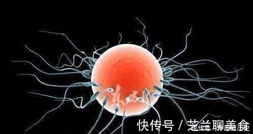 准妈妈|“受精卵着床时”的5个奇妙感觉，粗心的宝妈你有体会到了吗