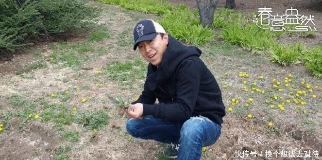 黄渤爱吃野菜,但野菜怎么做?得看汪曾祺!|青书单| a8748