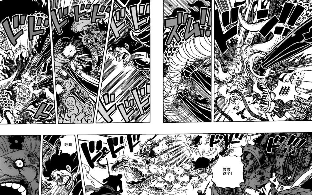 1003话分析!凯多热身完毕,开启人兽形态!