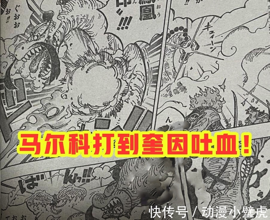 兔子|海贼王1006话:小马哥被烬斩落翅膀,豹五郎释放“生命归还”