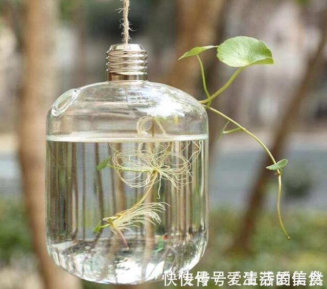 懂得!南山老人提醒我:做人再有本事,也要对这四件事守口如瓶,有道理