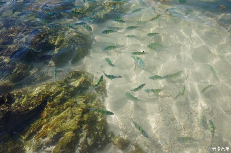 中年|一路乘风破浪---攀牙湾喀斯特群岛探索之旅。