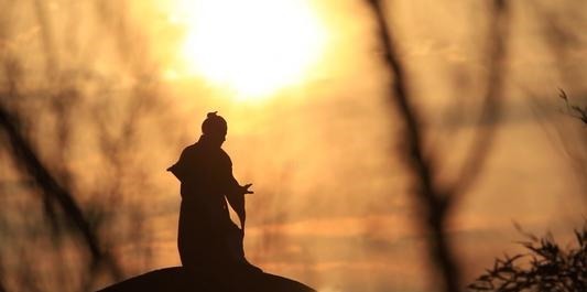 羊肾|阳气少了，筋就短了！一味药，补阳+养筋，纯中医人的心声