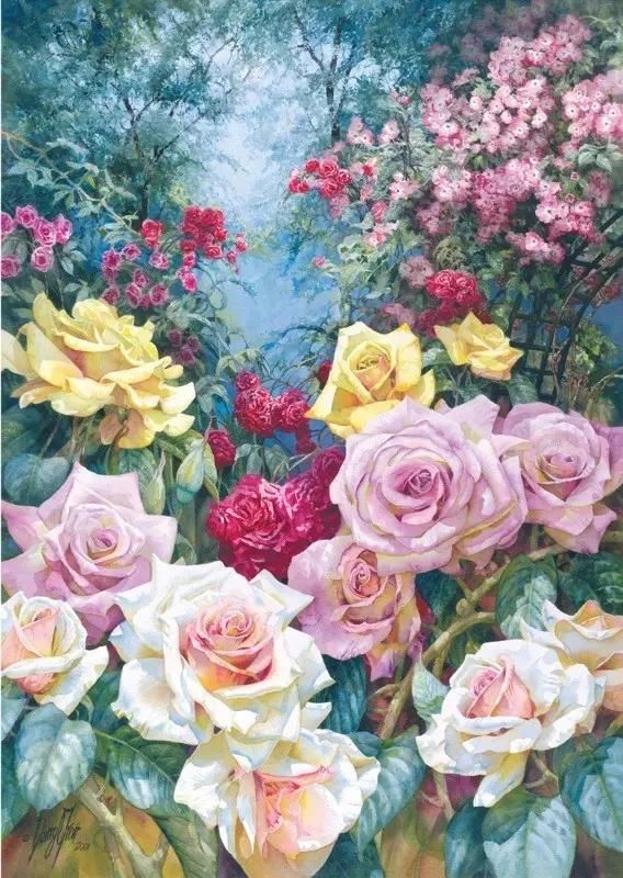 水彩&水彩画欣赏：澳大利亚水彩画家30张水彩花卉，动人