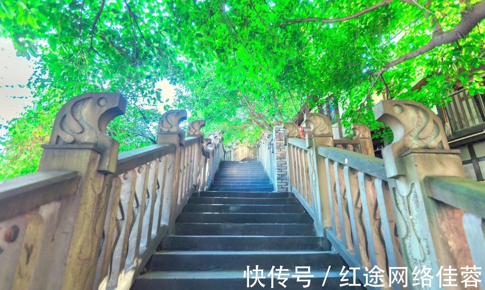 南山书院|重庆最美城市步道，这5条古道你一定要知道，感受山城韵味