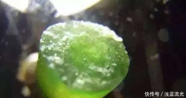 大妈为证翡翠是真的,在煤气灶上烧翡翠,没多久拿下来后悲催了