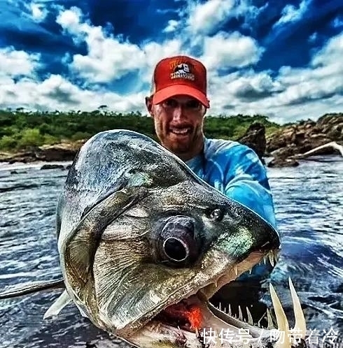 钓鱼“中毒”的10大症状,你中了几种?