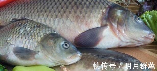 朱医师|常吃鱼肉好处多,但有3种鱼要尽量少吃,看看你中了几招?