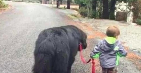 批评|孩子被家长批评,离家出走,接下来的画面,爸爸笑喷了