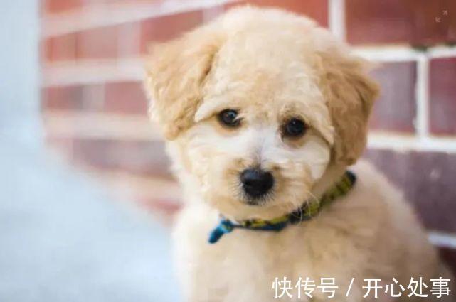 |幽默段子:《你的车没了》