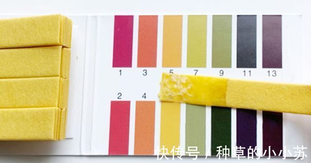 氨基酸|建议女人:遇到这6款洗面奶,千万别犹豫!虽然平价但真心好用