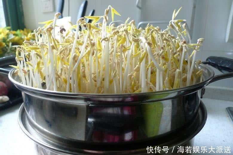 湿气最怕此物，平时多吃点，赶走体内湿毒，身体更健康