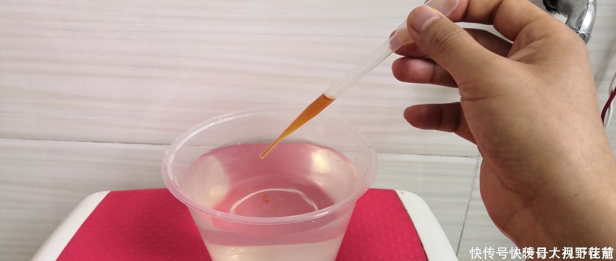 养兰人总结出来的养兰偏方,招招好使,叶芽满盆