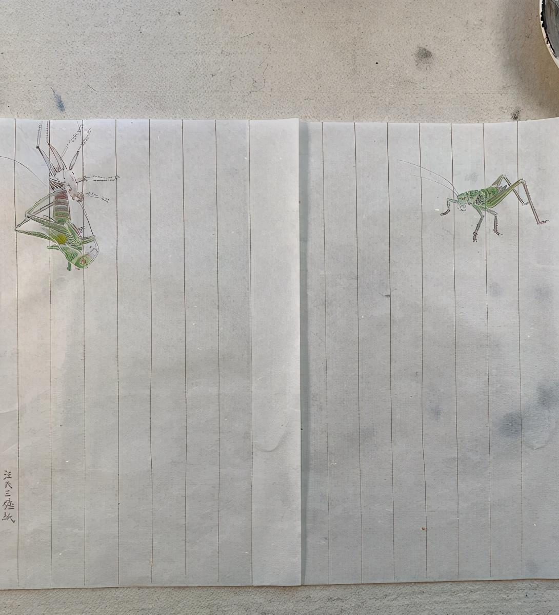 夏哈哈|夏雨:和女儿在家PK画蚂蚱,爷俩画工了得袁泉自动退出只好当裁判