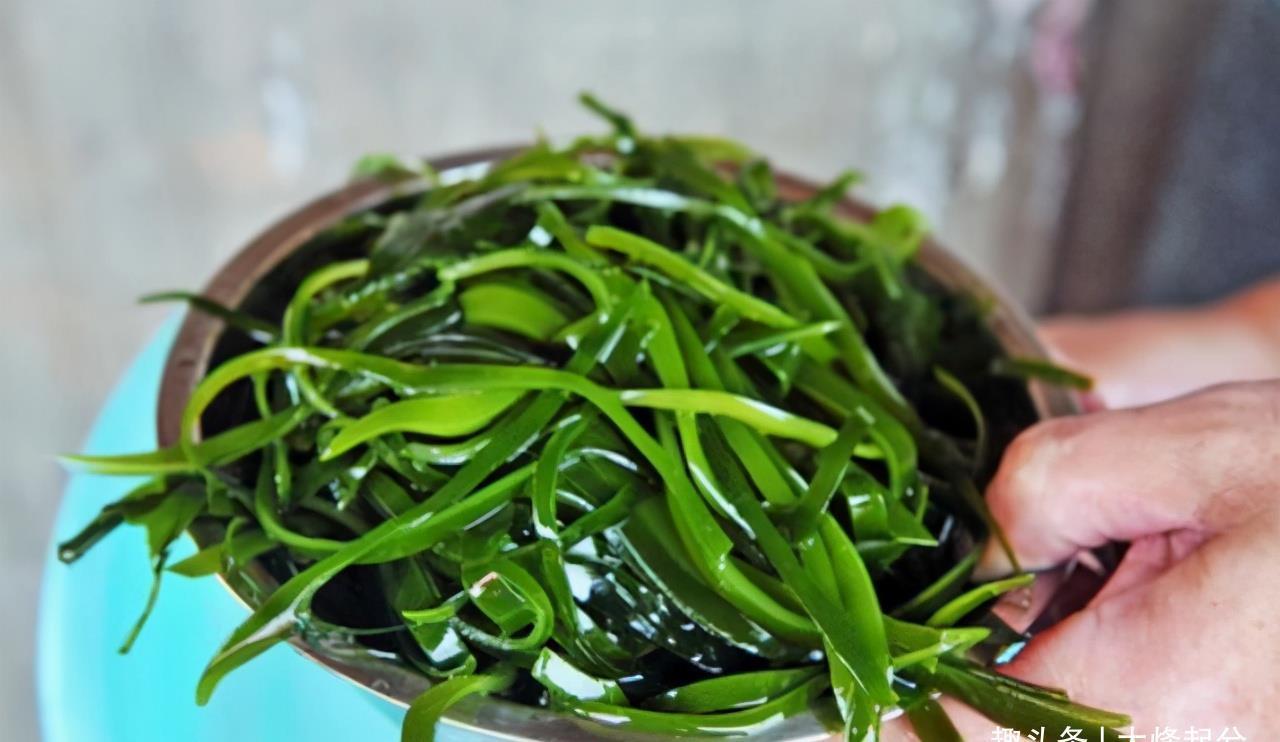 海带|海带丝腥味重?大厨教你2招,脆嫩爽滑又入味,一点也不腥