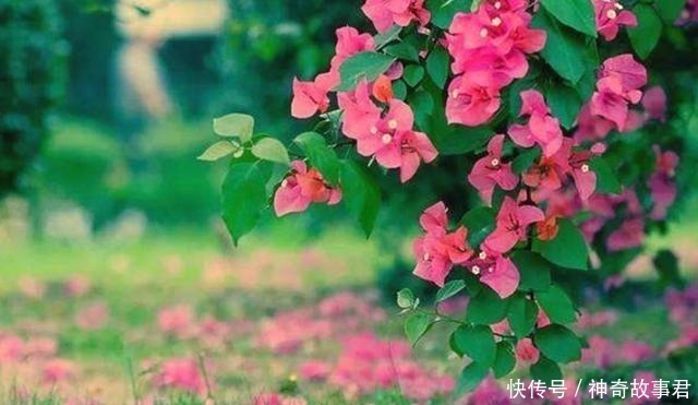 唐朝|唐朝最“肉麻”的一首诗,全诗仅20字,却道尽相思的苦楚!