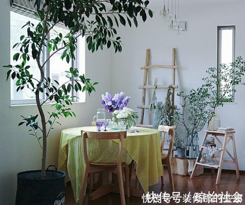 小两口之家,全屋布满绿植鲜花,把生活过成了诗,太美太治愈了