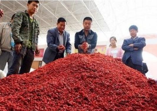 枸杞|枸杞与此物是“好朋友”，连喝15天，肾气满满，给肝脏“洗洗澡”