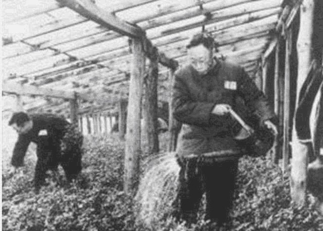 不愧|溥仪第一次发工资60元,看他都买了啥?不愧是坐过龙椅的人