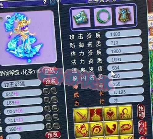 只宝宝|梦幻西游12技能天女打“林中鸟”兽诀！另一只顶级玩具宠展示！