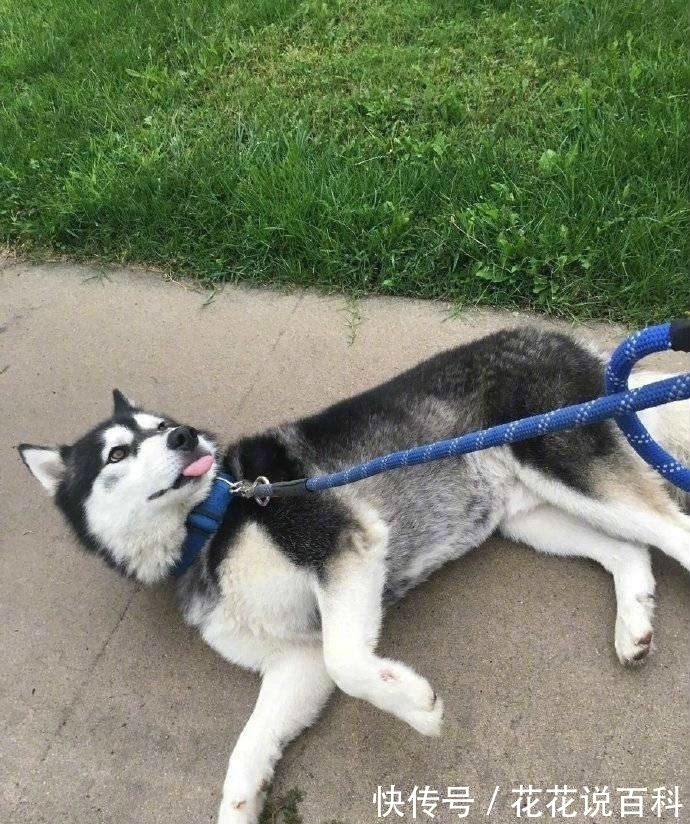 |搞笑图片!打个针至于做出那么委屈的表情吗?