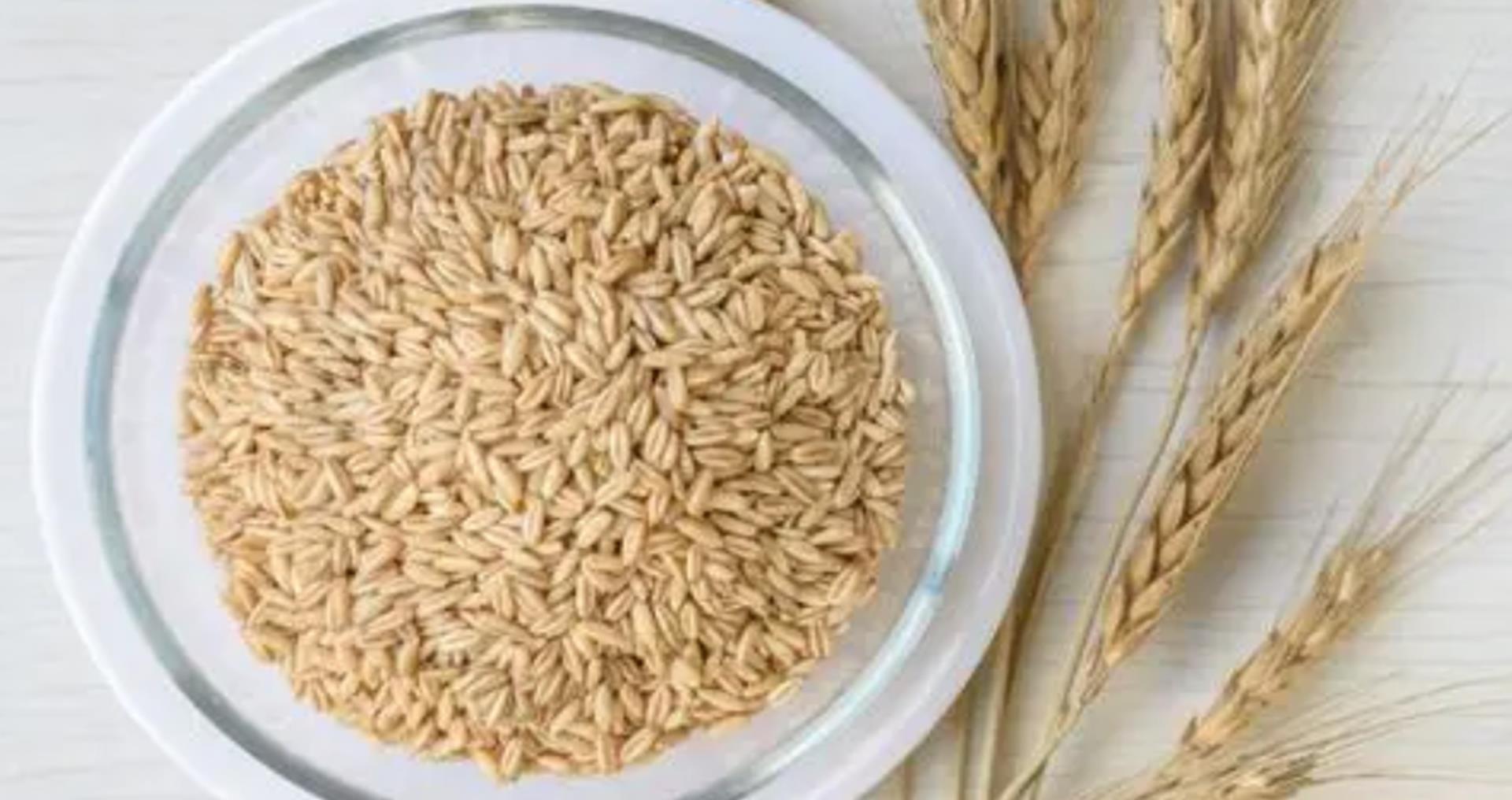 燕麦片|糖尿病建议多吃燕麦控糖,可惜很多人吃错了