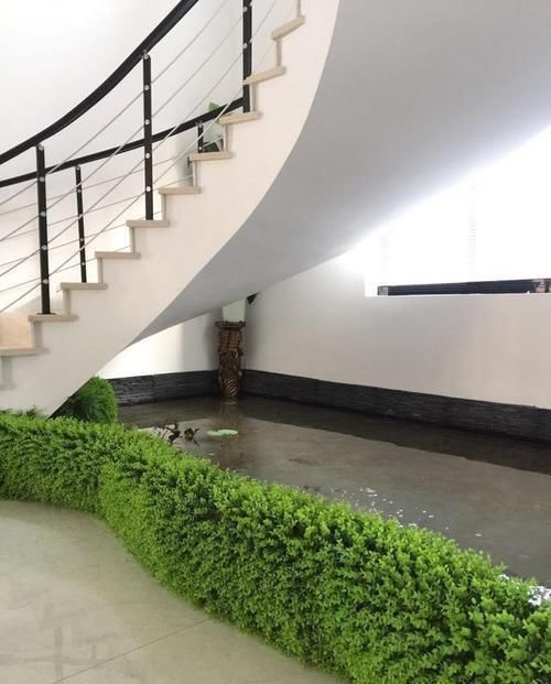 别墅|闺蜜家的自建房才花50W,还带私人花园、鱼塘,我真不信!