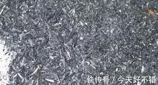 植物生长慢,将3种小东西兑水浇,茎秆粗壮,枝叶疯长不停