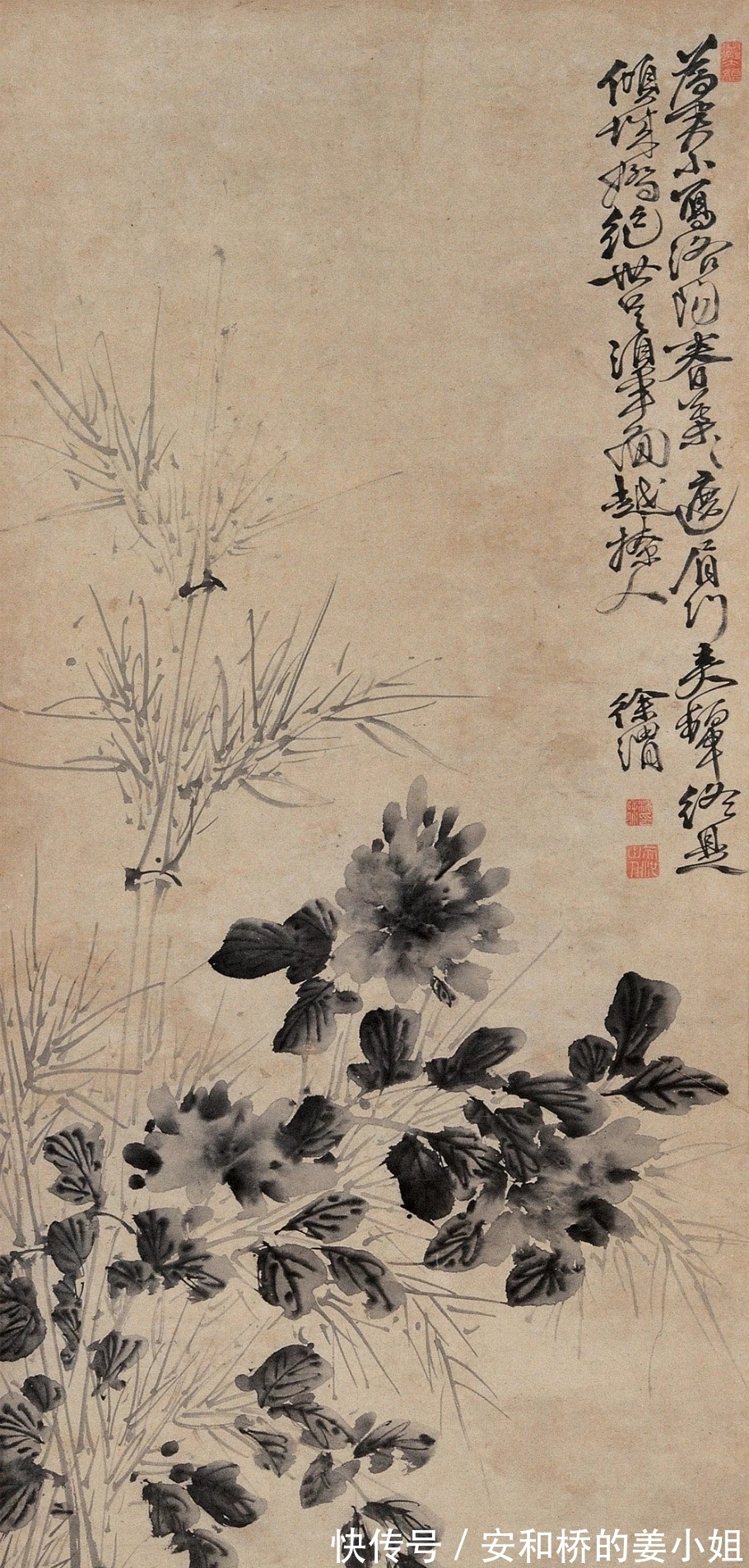 芭蕉！花鸟画一代宗师｜徐渭画竹，当在青藤之后，芭蕉之上，你认为呢？