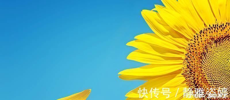 芡实粥|中医专家脾胃是人之根本,要想脾胃好就吃3宝