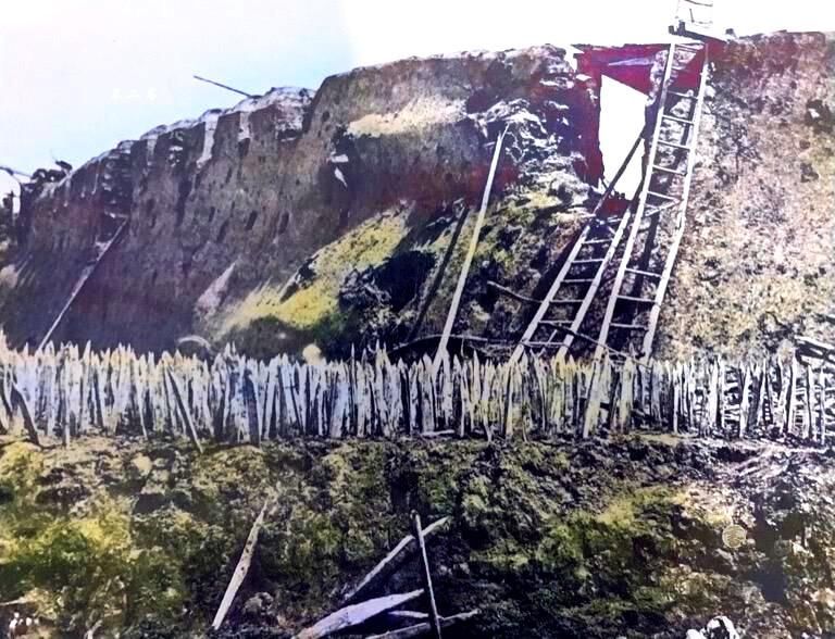 老照片|鸦片战争上色老照片：镜头下真实的清末之耻，阵亡的清军无人收尸