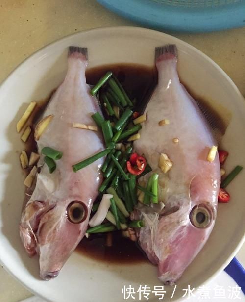 误会|这种鱼“没有头”,因太便宜被人们误会,大厨吃它的才是懂行人