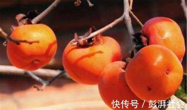 蛋白质含量|孕晚期吃鹅蛋,真正的作用不是“去胎毒”,孕妇早知道早受益
