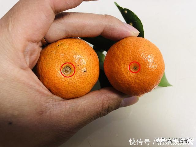 买砂糖橘时,挑有叶子还是没叶子的?牢记“4不买”,别再随便买