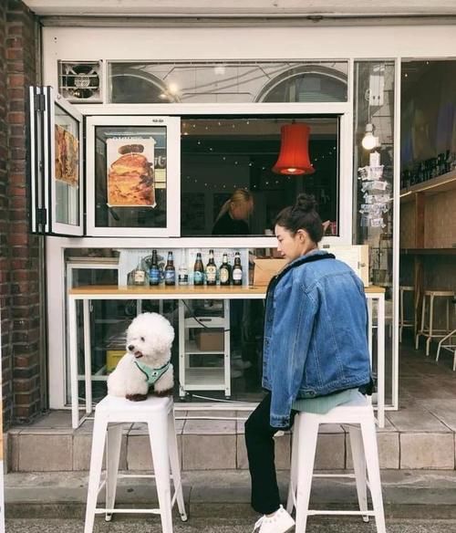 春天穿这几件外套，太好看了，赶快收藏起来吧