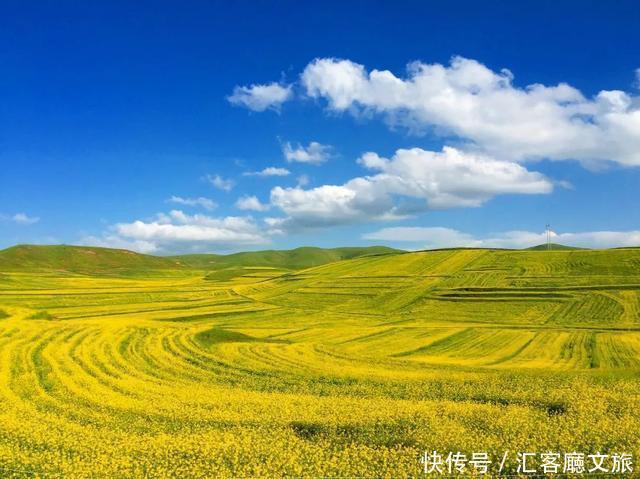 “景如画、梵如音”，低调又迷人的甘南美出圈了！