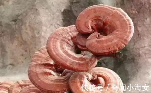 我们每天都在吃的东西,竟然是被国家列入第一致癌清单!