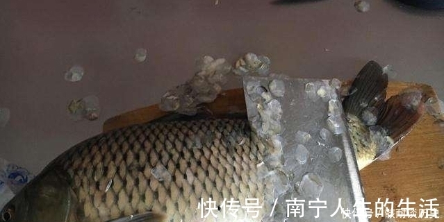 去鱼鳞别再用菜刀！大厨教你，加一些它，鱼鳞自己往下掉，好用！