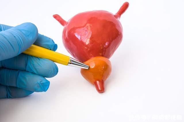 人被拿掉哪些器官却不会立马死有6个无用器官,医生一般不会说