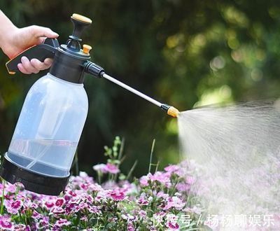 养花浇水“学问大”,老花匠教你什么水、什么时间适宜浇花!