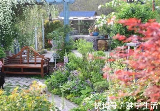 大花园|退休夫妻花4年改造自家老房,建3000㎡大花园,住在人间仙境里