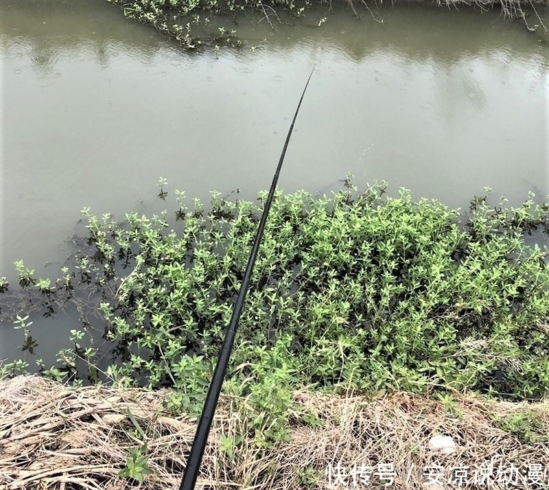 钓鱼就一定要“钓草”？“钓草”怎样选择其钓点位置？