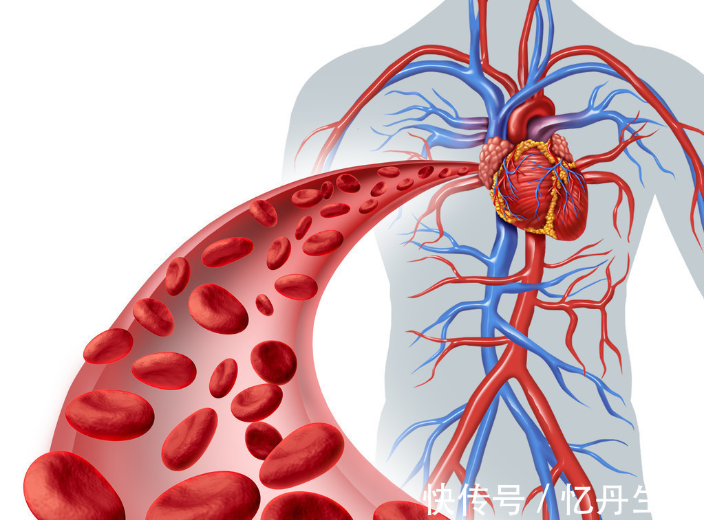 引书|每天坚持踮脚尖，坚持一个月后会发生什么不知道可就亏大了