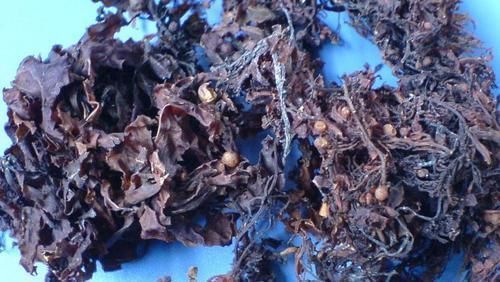 老中医|前列腺炎不用“愁”,三个“暖心方”,老中医无私奉献